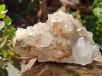 Natural Spirit Quartz Clusters x 3 From Boekenhouthoek, South Africa