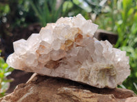 Natural Spirit Quartz Clusters x 3 From Boekenhouthoek, South Africa