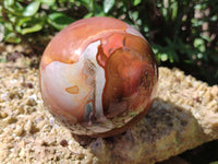 Polished Polychrome Jasper Spheres x 2 From Mahajanga, Madagascar