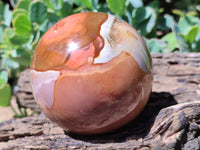 Polished Polychrome Jasper Spheres x 2 From Mahajanga, Madagascar