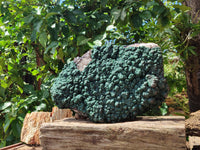 Natural Botryoidal Malachite on Smokey Quartz Plate x 1 From Tenke Fungurume, Congo