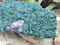 Natural Botryoidal Malachite on Smokey Quartz Plate x 1 From Tenke Fungurume, Congo