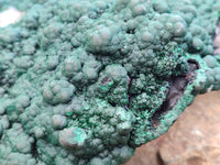 Natural Botryoidal Malachite on Smokey Quartz Plate x 1 From Tenke Fungurume, Congo