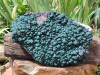 Natural Botryoidal Malachite on Smokey Quartz Plate x 1 From Tenke Fungurume, Congo