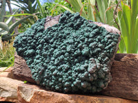 Natural Botryoidal Malachite on Smokey Quartz Plate x 1 From Tenke Fungurume, Congo