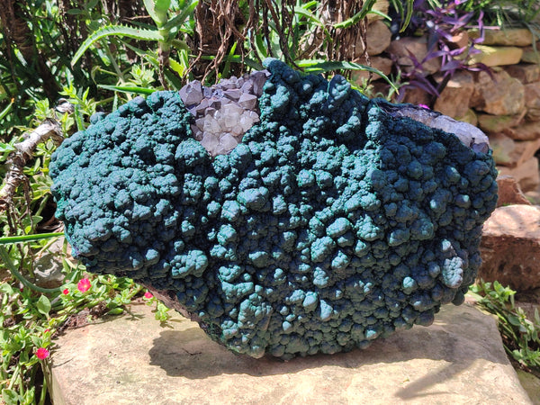 Natural Botryoidal Malachite on Smokey Quartz Plate x 1 From Tenke Fungurume, Congo