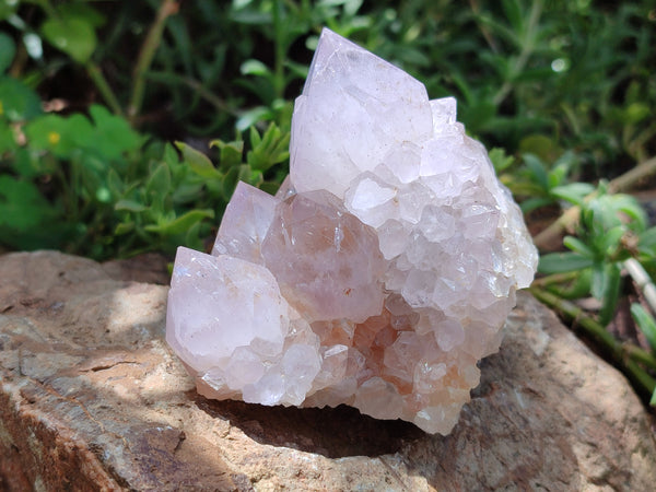 Natural Amethyst Spirit Quartz Clusters x 6 From Boekenhouthoek, South Africa