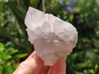 Natural Amethyst Spirit Quartz Clusters x 6 From Boekenhouthoek, South Africa