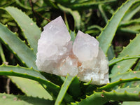 Natural Amethyst Spirit Quartz Clusters x 6 From Boekenhouthoek, South Africa