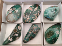 Polished Emerald Mtorolite Free Forms x 6 From Mutorashanga, Zimbabwe