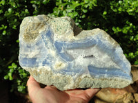 Natural Blue Lace Agate Geode Specimen x 1 From Malawi