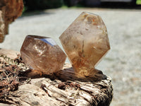 Polished Smokey Quartz Crystals x 12 From Madagascar