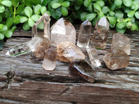 Polished Smokey Quartz Crystals x 12 From Madagascar