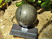 Polished Rare Pharaoh Stone Pyrite in Basalt Sphere-Balls x 3 From Iron Duke Mine, Zimbabwe