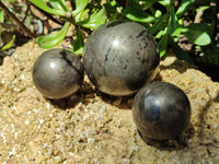 Polished Rare Pharaoh Stone Pyrite in Basalt Sphere-Balls x 3 From Iron Duke Mine, Zimbabwe