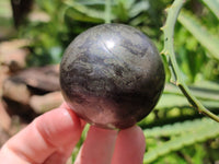 Polished Rare Pharaoh Stone Pyrite in Basalt Sphere-Balls x 3 From Iron Duke Mine, Zimbabwe