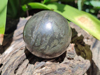 Polished Rare Pharaoh Stone Pyrite in Basalt Sphere-Balls x 3 From Iron Duke Mine, Zimbabwe