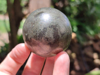 Polished Rare Pharaoh Stone Pyrite in Basalt Sphere-Balls x 3 From Iron Duke Mine, Zimbabwe