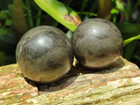 Polished Rare Pharaoh Stone Pyrite in Basalt Sphere-Balls x 3 From Iron Duke Mine, Zimbabwe