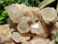 Natural Smokey Phantom Quartz Clusters x 2 From Luena, Congo