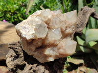 Natural Smokey Phantom Quartz Clusters x 2 From Luena, Congo