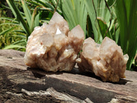 Natural Smokey Phantom Quartz Clusters x 2 From Luena, Congo