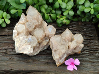 Natural Smokey Phantom Quartz Clusters x 2 From Luena, Congo