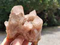 Natural Smokey Phantom Quartz Clusters x 2 From Luena, Congo