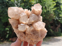 Natural Smokey Phantom Quartz Clusters x 2 From Luena, Congo