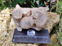 Natural Smokey Phantom Quartz Clusters x 2 From Luena, Congo