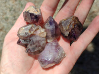 Natural Zululand Amethyst Single Crystals x 20 from Jozini, South Africa