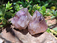 Natural Zululand Amethyst Single Crystals x 20 from Jozini, South Africa