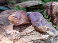 Natural Zululand Amethyst Single Crystals x 20 from Jozini, South Africa