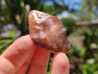 Natural Zululand Amethyst Single Crystals x 20 from Jozini, South Africa