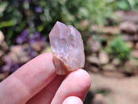 Natural Zululand Amethyst Single Crystals x 20 from Jozini, South Africa