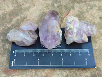 Natural Zululand Amethyst Single Crystals x 20 from Jozini, South Africa