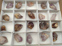 Natural Zululand Amethyst Single Crystals x 20 from Jozini, South Africa