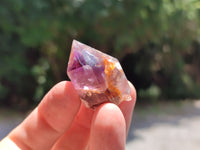 Natural Zululand Amethyst Single Crystals x 20 from Jozini, South Africa