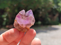 Natural Zululand Amethyst Single Crystals x 20 from Jozini, South Africa