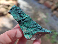 Natural Botryoidal Malachite Specimens x 12 From Tenke Fungurume, Congo