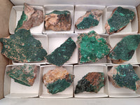 Natural Botryoidal Malachite Specimens x 12 From Tenke Fungurume, Congo