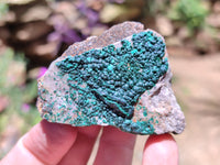 Natural Botryoidal Malachite Specimens x 12 From Tenke Fungurume, Congo