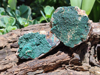 Natural Botryoidal Malachite Specimens x 12 From Tenke Fungurume, Congo