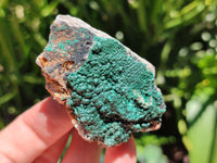 Natural Botryoidal Malachite Specimens x 12 From Tenke Fungurume, Congo