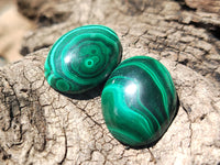 Hand Made Flower Banded Malachite Cabochons - Sold Per Item - From Congo