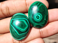 Hand Made Flower Banded Malachite Cabochons - Sold Per Item - From Congo