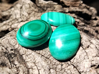 Hand Made Flower Banded Malachite Cabochons - Sold Per Item - From Congo