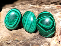 Hand Made Flower Banded Malachite Cabochons - Sold Per Item - From Congo