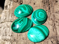 Hand Made Flower Banded Malachite Cabochons - Sold Per Item - From Congo