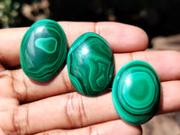 Hand Made Flower Banded Malachite Cabochons - Sold Per Item - From Congo